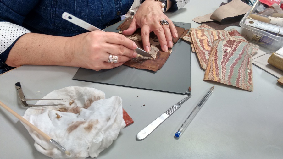 Descarga gratis estos manuales de bibliotecas para la Conservación y Restauración de Libros