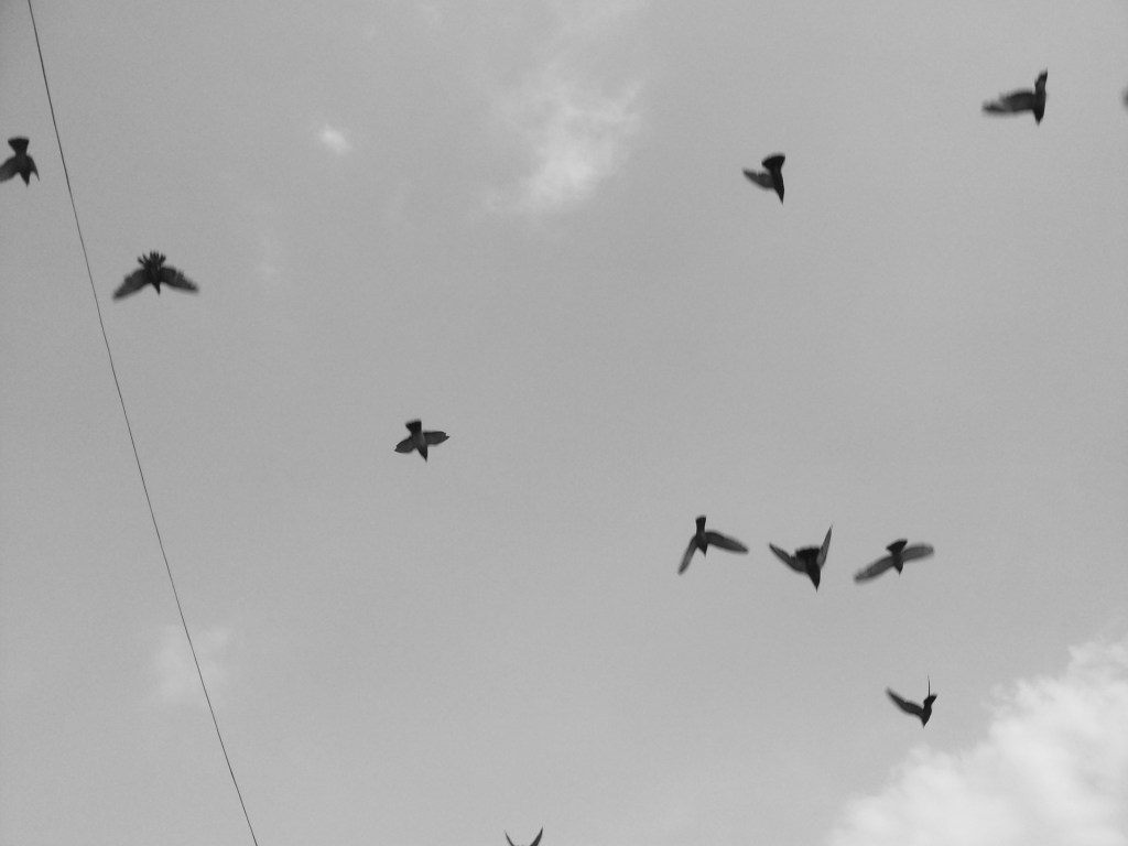 Carta 4: Time of the season