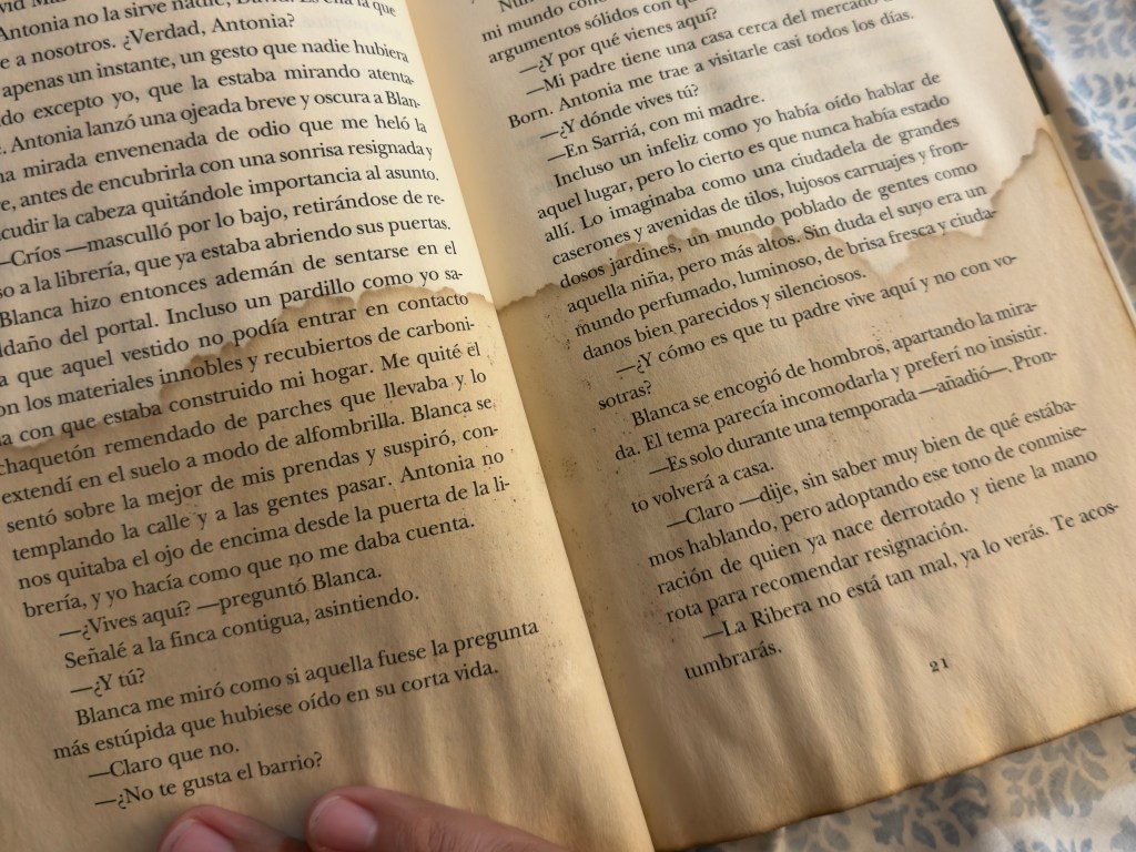 Una mancha de café y un 19 de&nbsp;septiembre