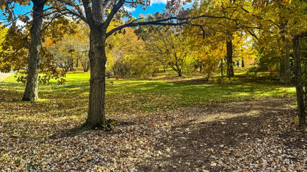 El otoño personal: aprender a soltar lo que ya cumplió su&nbsp;ciclo